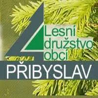 Recenze lesní družstvo